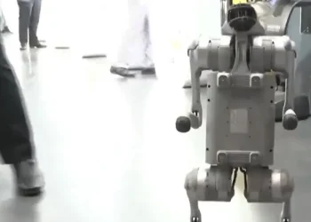 Indian professor’s robot dog claim at AI summit sparks uproar