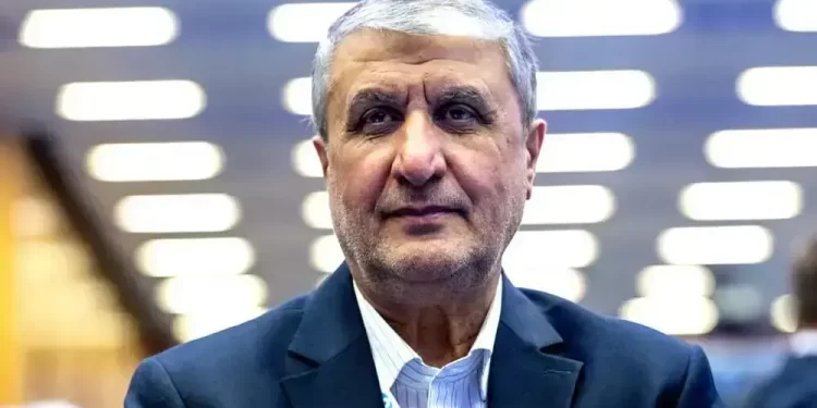 Iran ready to dilute highly enriched uranium if all sanctions lifted: nuclear chief