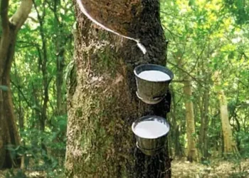 Japan rubber futures snap four-day rally on stronger yen