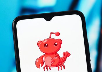 Moltbook is about as fun as watching two Roombas bump into each other