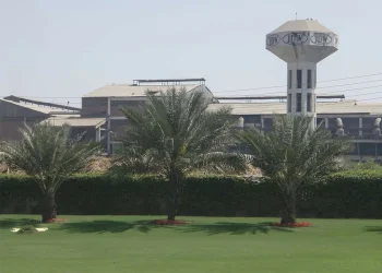 Pakistan’s sugar maker to set up subsidiary in UAE