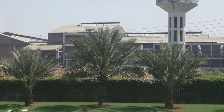 Pakistan’s sugar maker to set up subsidiary in UAE