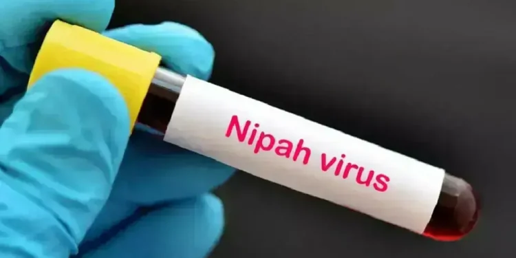 Risk of Nipah spread low after cases in India, Bangladesh: WHO