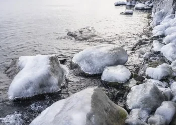 Seven Chinese tourists dead