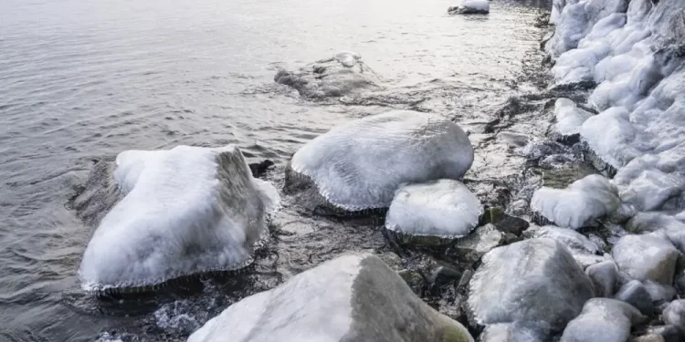 Seven Chinese tourists dead