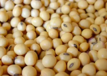 Soybean set for third week of gains on Chinese demand prospects