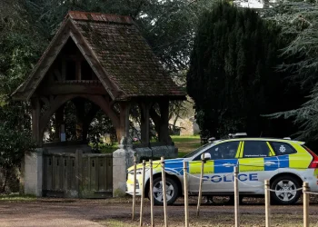 UK protection officers instructed to guard 2010 Epstein dinner party