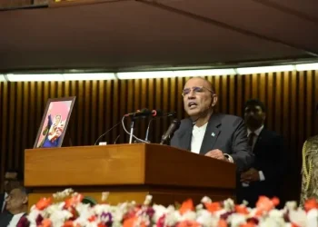 Will not allow any entity to use neighbouring territory to destabilise our peace, president says in joint sitting