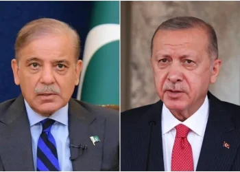 Turkiye will contribute to re-establishment of Pak-Afghan ceasefire, Erdogan tells PM Shehbaz