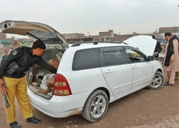 24 NCP vehicles handed over to Customs in Quetta
