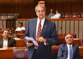 PPP slams govt in NA over increase in petroleum prices