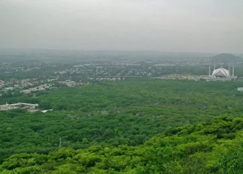 2 drones intercepted in Islamabad: sources