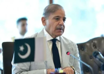 PM Shehbaz bans use of high-octane fuel in govt vehicles