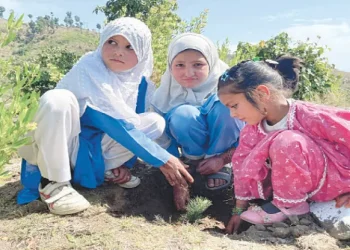 Over 1m saplings planted in a single day as ‘Ehsaas Shajar’ drive kicks off in KP