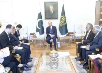 PM Shehbaz highlights Pakistan’s role in Middle East de-escalation in meeting with Chinese envoy