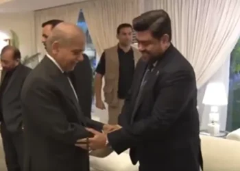 In meeting with MQM-P delegation, PM Shehbaz lauds services of ex-Sindh governor Kamran Tessori