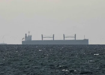 DPM Dar says Iran has allowed ‘20 more ships’ under Pakistan flag to cross Strait of Hormuz