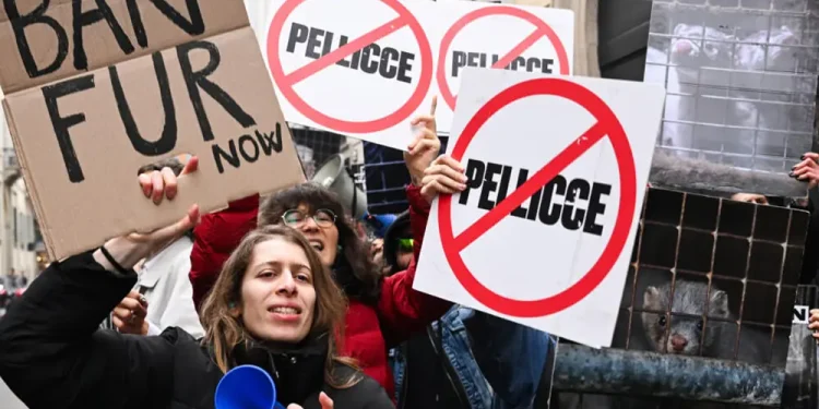 Activists pressure Milan Fashion Week to go fully fur-free
