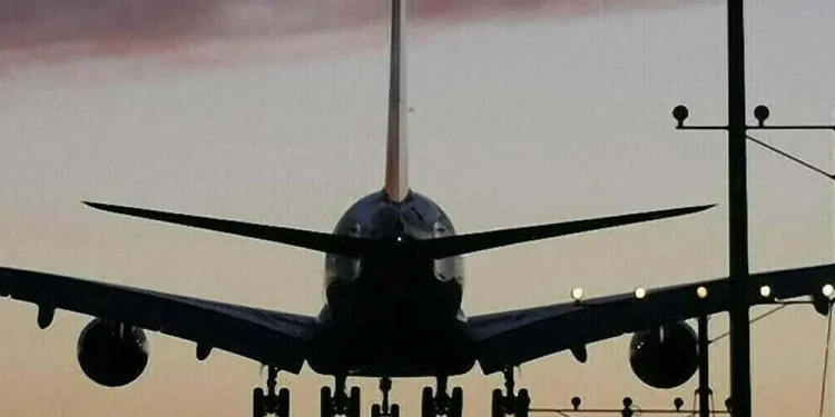 Aviation, tourism, agriculture… the economic sectors hit by the war