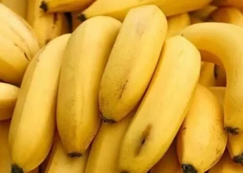 Banana waste to textile fiber: SMEDA launches ‘innovative’ project