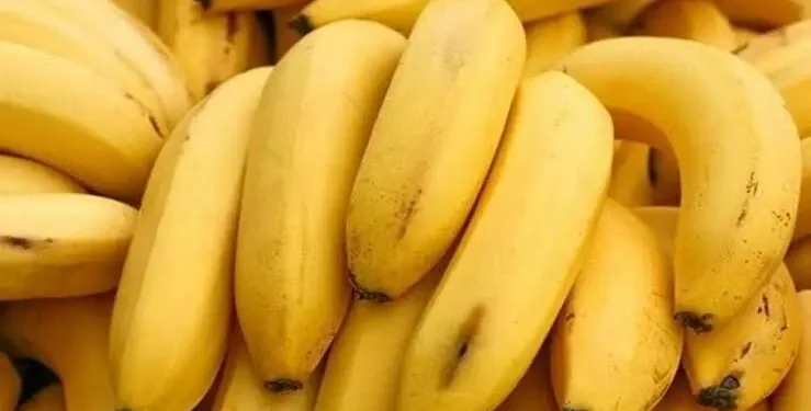 Banana waste to textile fiber: SMEDA launches ‘innovative’ project