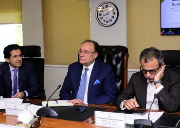 Cabinet committee to meet daily as govt tightens oversight of energy markets