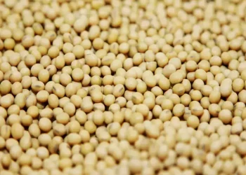 Chicago soybeans eye sixth consecutive weekly rise amid Iran war - Markets
