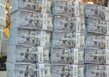 Forex reserves rise to USD21.74bn