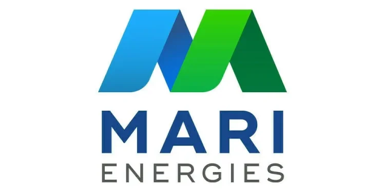 Gas supply for urea production: Fertiliser makers partner with Mari Energies - Business & Finance