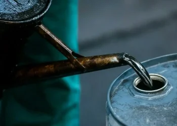 India won’t join IEA-led initiative to tap oil reserves, source says