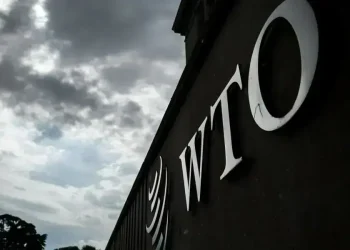 Minimal agreement on WTO reform in sight in Yaounde - Business & Finance