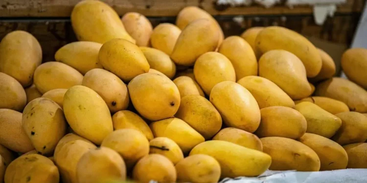 PAD holds session on how to boost mango exports