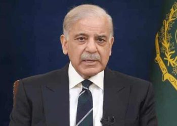 PM Shehbaz Orders 25% Cut for MNAs, MPAs