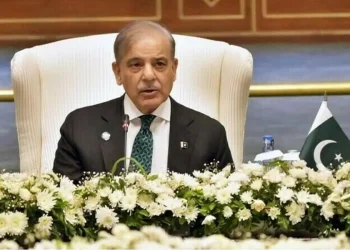 PM Shehbaz orders digitalisation of bike, rickshaw data for targeted fuel relief