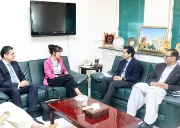 Pakistan invites Swedish firms to expand mining footprint beyond Reko Diq in upcoming PMIF