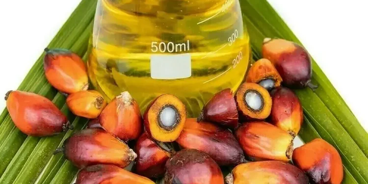 Palm futures log fourth straight weekly gain