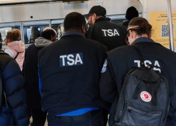 The largest federal workers union says 'untrained, armed' ICE agents should not replace TSA