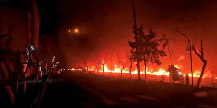 WHO warns of health risks from ‘black rain’ in Iran