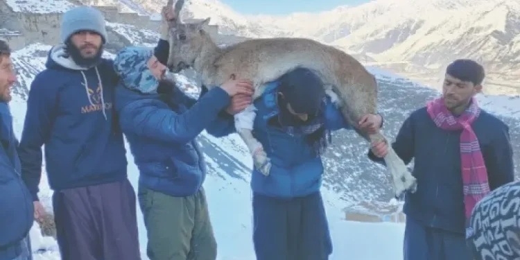 Training on wildlife poaching held in Chitral