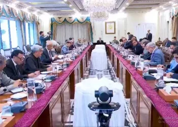 PM Shehbaz calls on nation to contribute to fuel conservation, austerity drive