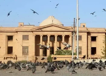 SHC removes Sindh chief of National Cyber Crimes Investigation Agency