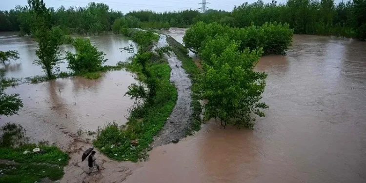 Heavy rains kill 3, injure 17 across Punjab