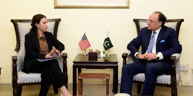 Aurangzeb, US envoy discuss economic cooperation, investment prospects