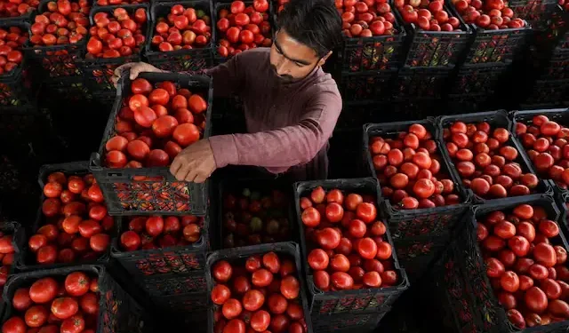 Pakistan pushes climate–commerce integration to secure food supply system