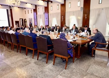 President Zardari briefed on progress of Pakistan-China MoUs, emphasizes timely implementation