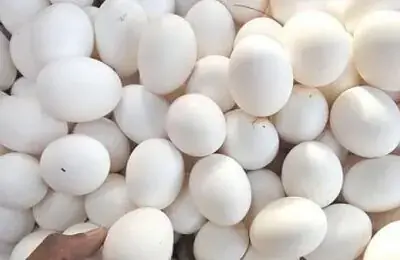 SECP approves Wahdat Poultry Farms IPO