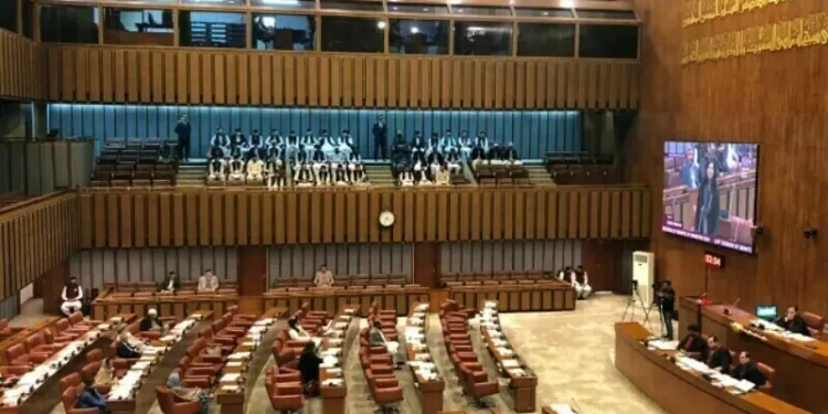 Senate panel rejects bill seeking to enhance women’s participation in politcal process