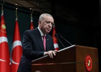 Turkiye Working to Extend Iran Ce@sefire, Tayyip Erdogan