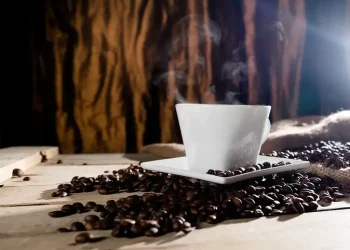 Uganda coffee exports rise 17% in February on higher production