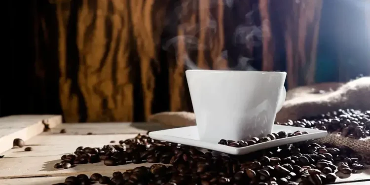 Uganda coffee exports rise 17% in February on higher production